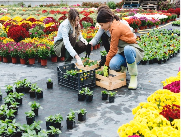 Áprilisban itt az ideje, hogy gondolj a nyári szakmai gyakorlatodra!   - 2026-03-25